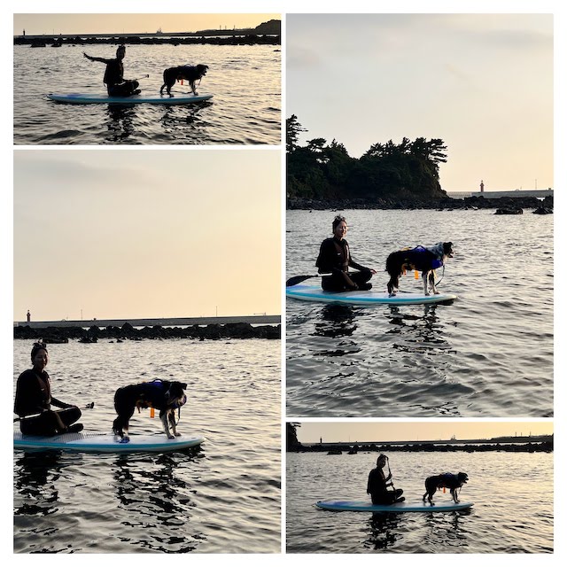 Stand Up Paddle lesson in Jeju Island included our border collie.
