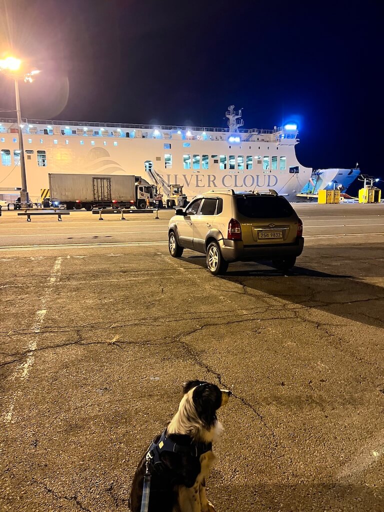 Traveling by ferry from Wando Port to Jeju Island, South Korea with a car and dog.