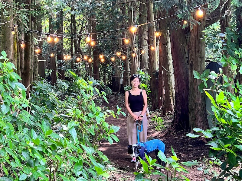 The Secret Forest is a perfect place for a photo shoot.