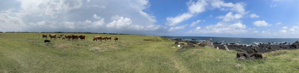 Panoramic view of the Sincheon Seaside Ranch on Jeju Island. 
