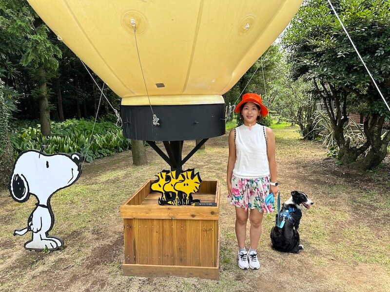 Snoopy Gardens, Jeju Island will take you back to your childhood.