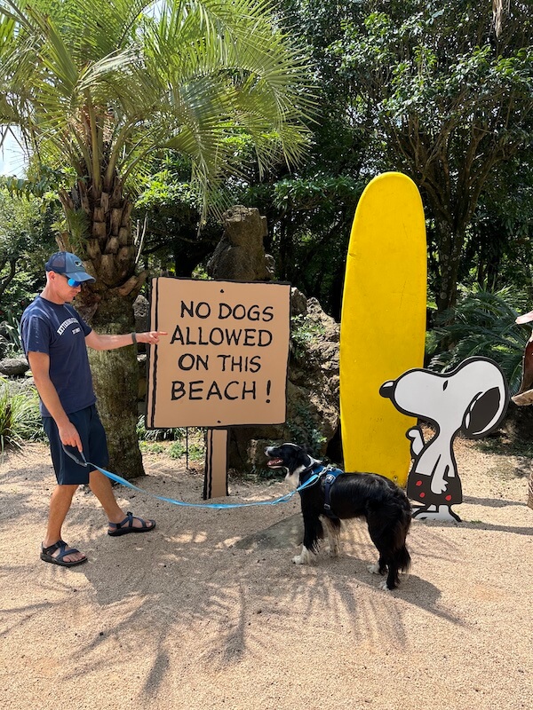 Rules are made to be broken! Snoopy Garden, Jeju Island.
