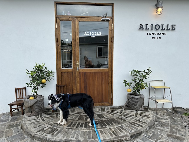 Aliolle is a quaint Italian bistro in the quiet Songdang neighborhood of Jeju Island.