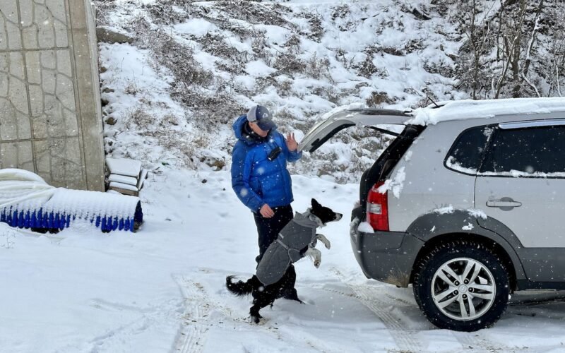 How to Rent and Drive a Car in South Korea: A Foreigner’s Complete Guide