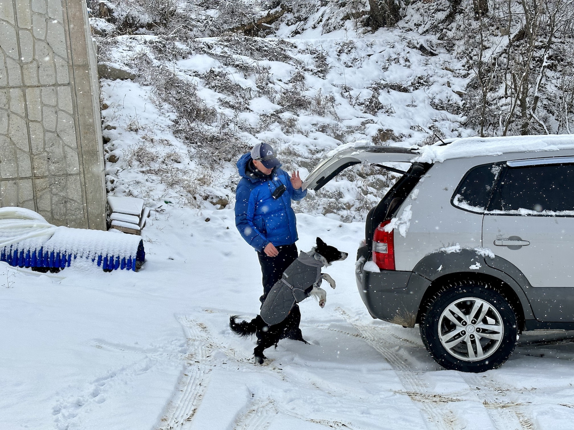 The author loads his dog into the car on a ski trip in Gangwon Province, South Korea.