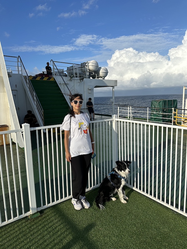 The Wando to Jeju Ferry has an outdoor, fenced in, dog play area.