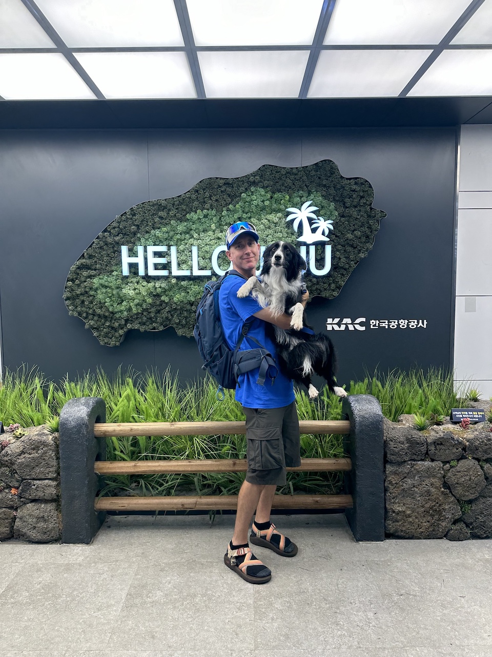 A person is holding a dog in their arms, standing in front of a popular photo spot sign that says "Hello Jeju" in the arrivals area of Jeju Airport.