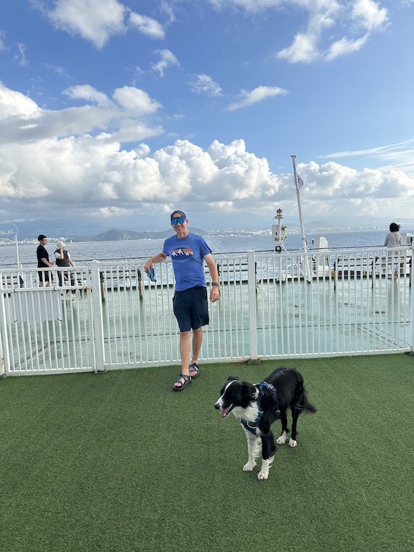 The Wando to Jeju Ferry has an outdoor, fenced in, dog play area.