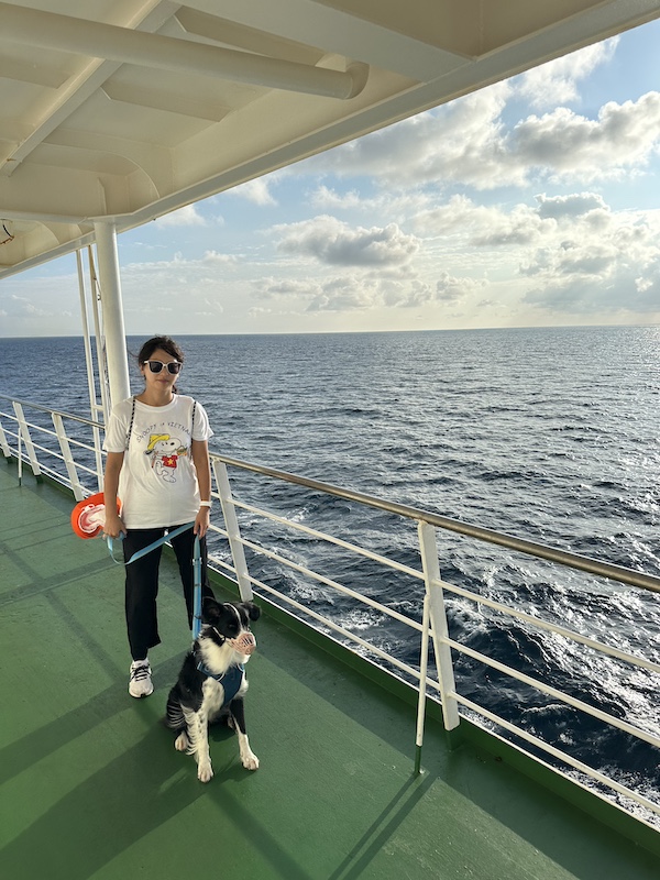 Muzzles are required for bigger dogs on the Jeju Island Ferry