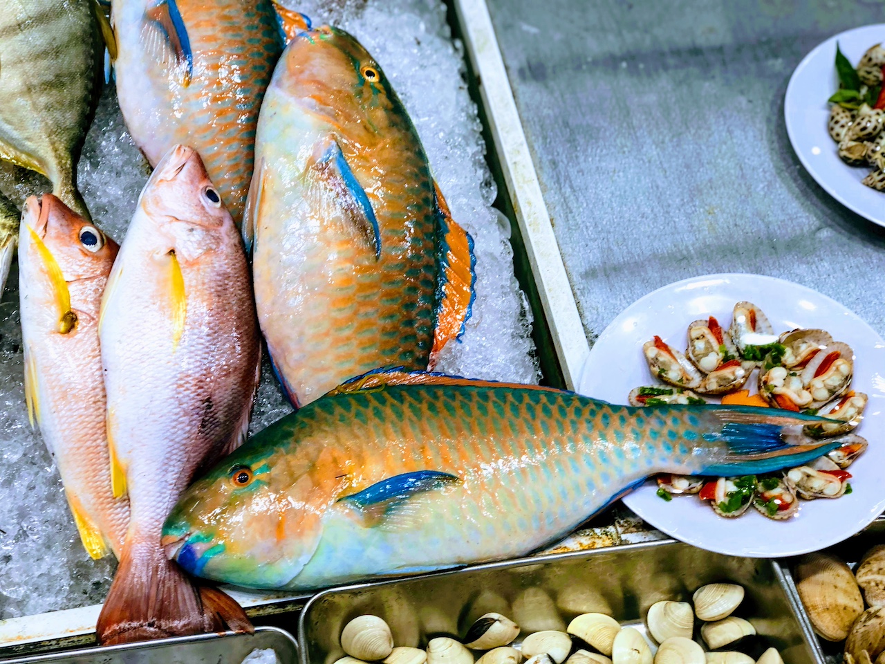 Choose your own fish, fresh out of the sea, at one of my many BBQ restaurants on Phu Quoc Island, Vietnam