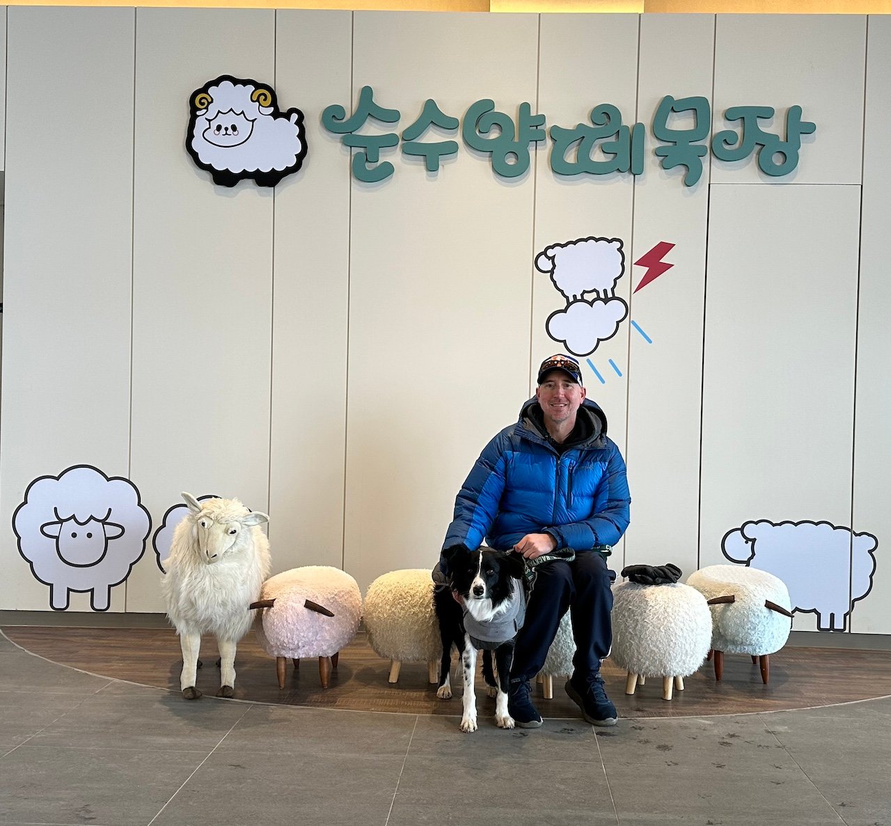 In the café lobby at Pure Sheep Ranch in Gangwon-Do, South Korea