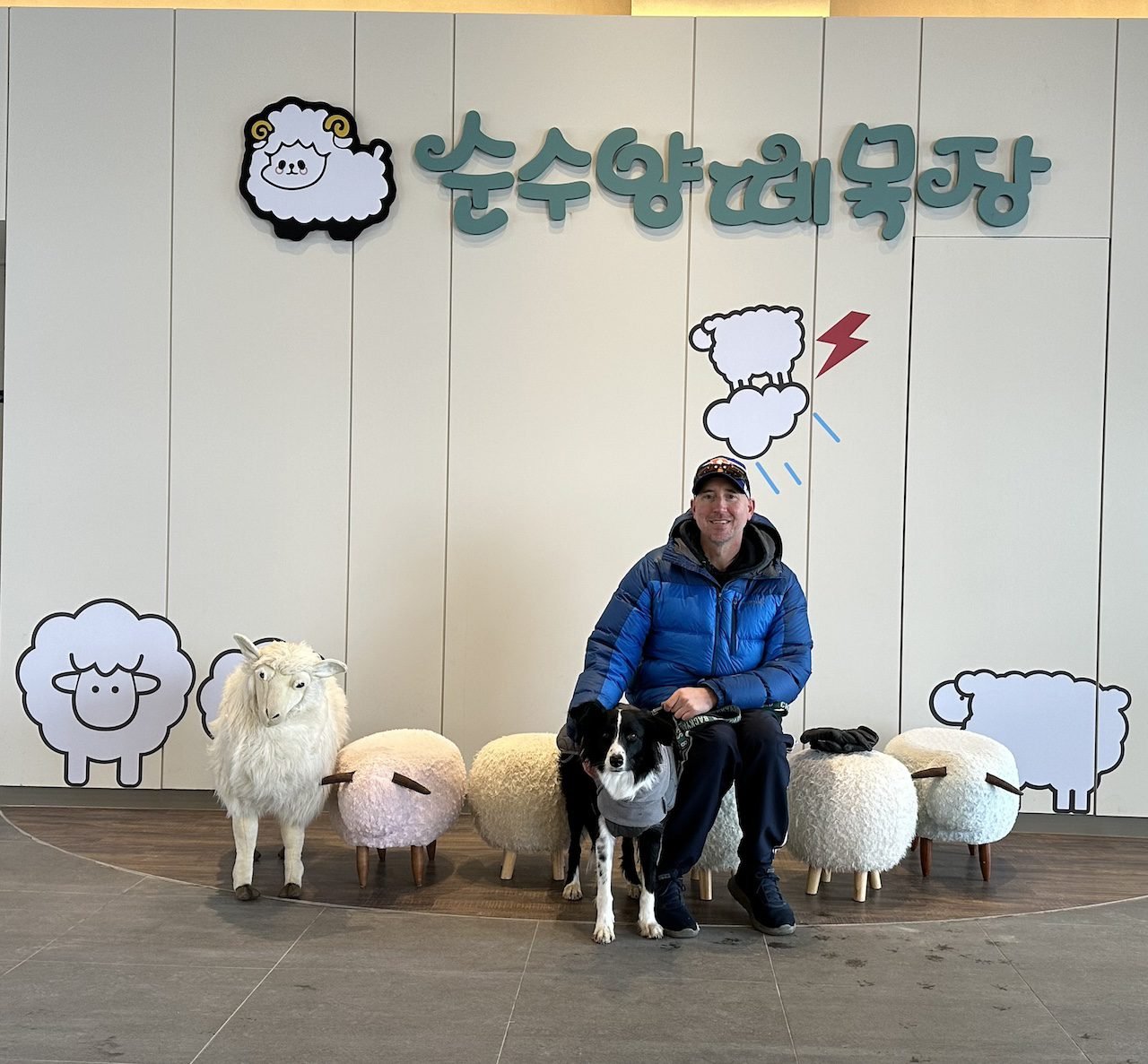 In the café lobby at Pure Sheep Ranch in Gangwon-Do, South Korea