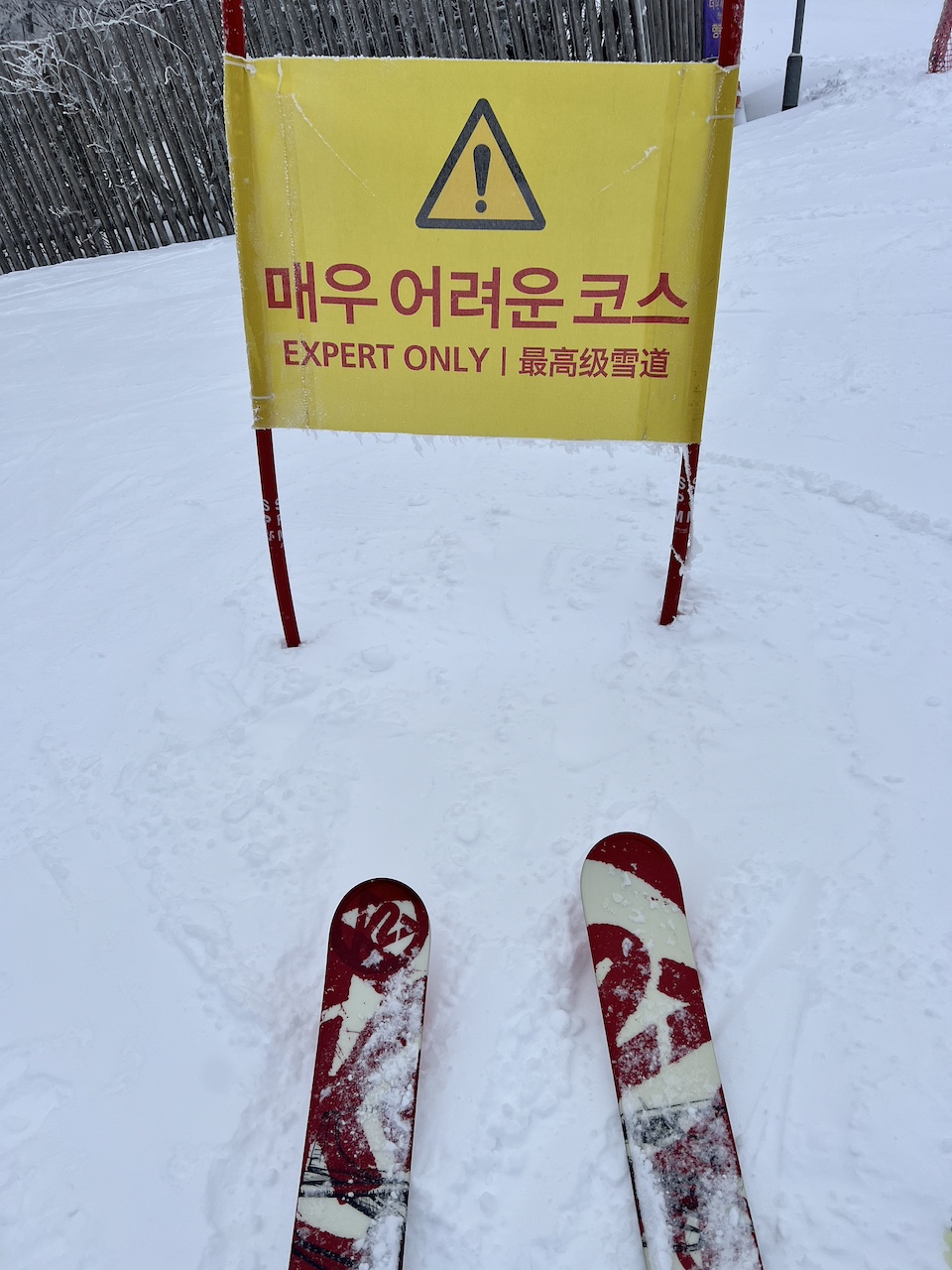 Experts Only on Victoria Peak at High 1 Resort in South Korea. 