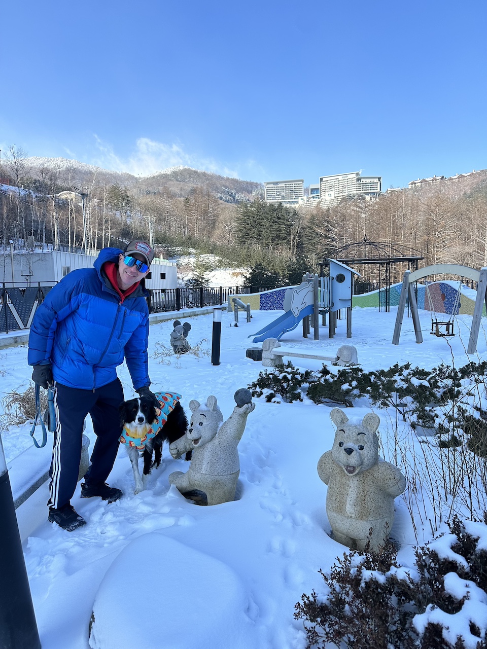 Our dog Winnie at the High 1 Pet Club Sky Park in winter. 