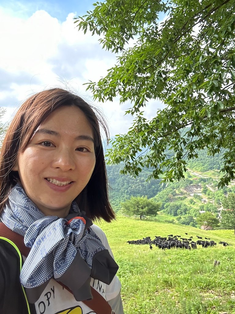 Black goats are ever present around the campsites at Sanneomi Ranch in Gangwon-Do, South Korea. 