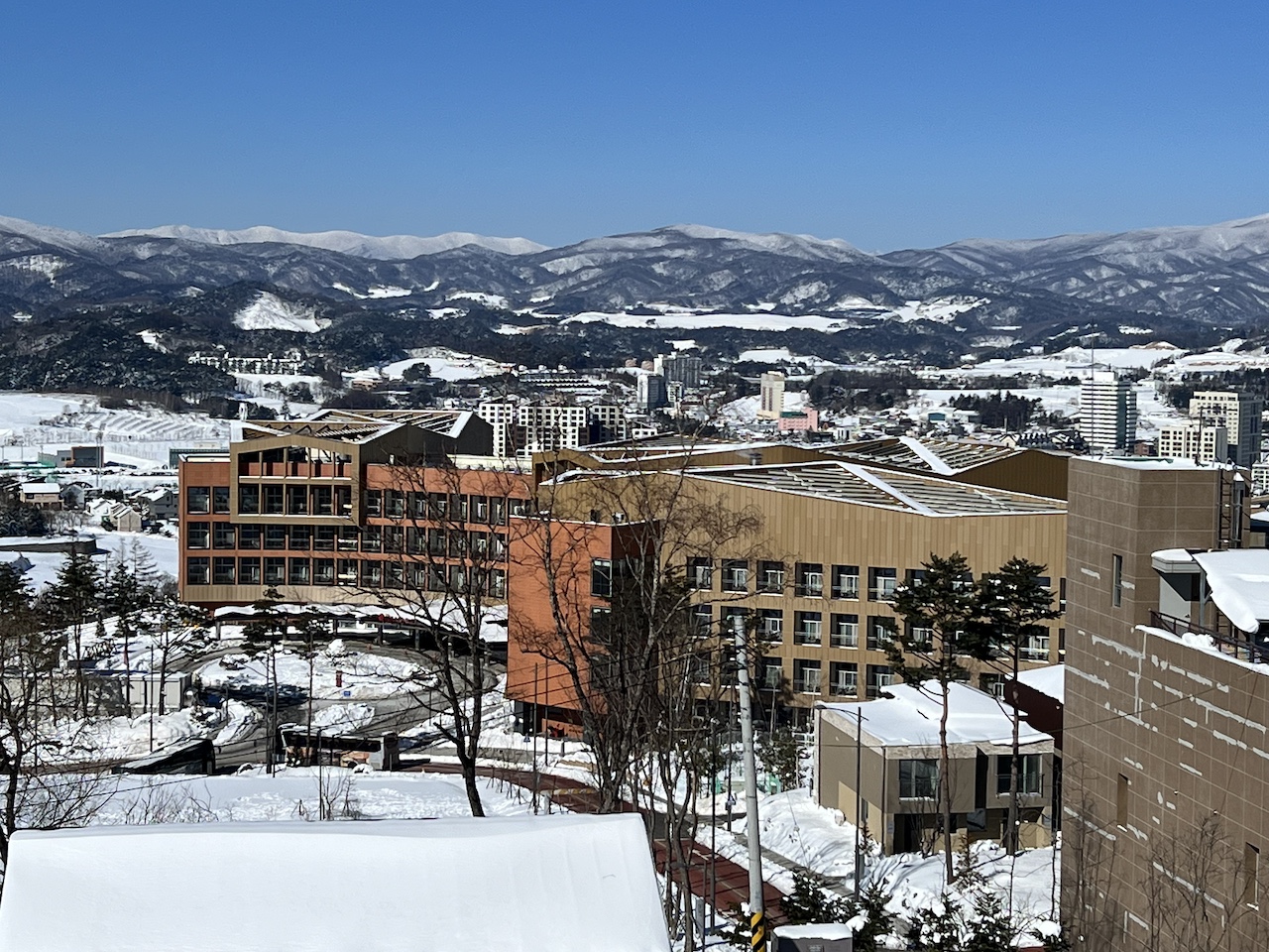 Dog-friendly Ramada Hotel in Pyeongchang, South Korea, near Pure Sheep Ranch. This hotel is a great option for skiers and travelers with pets.