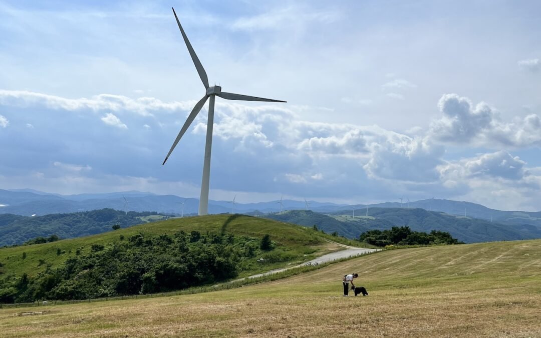 Year-Round Trekking and Camping in Daegwallyeong, Gangwon-Do, South Korea