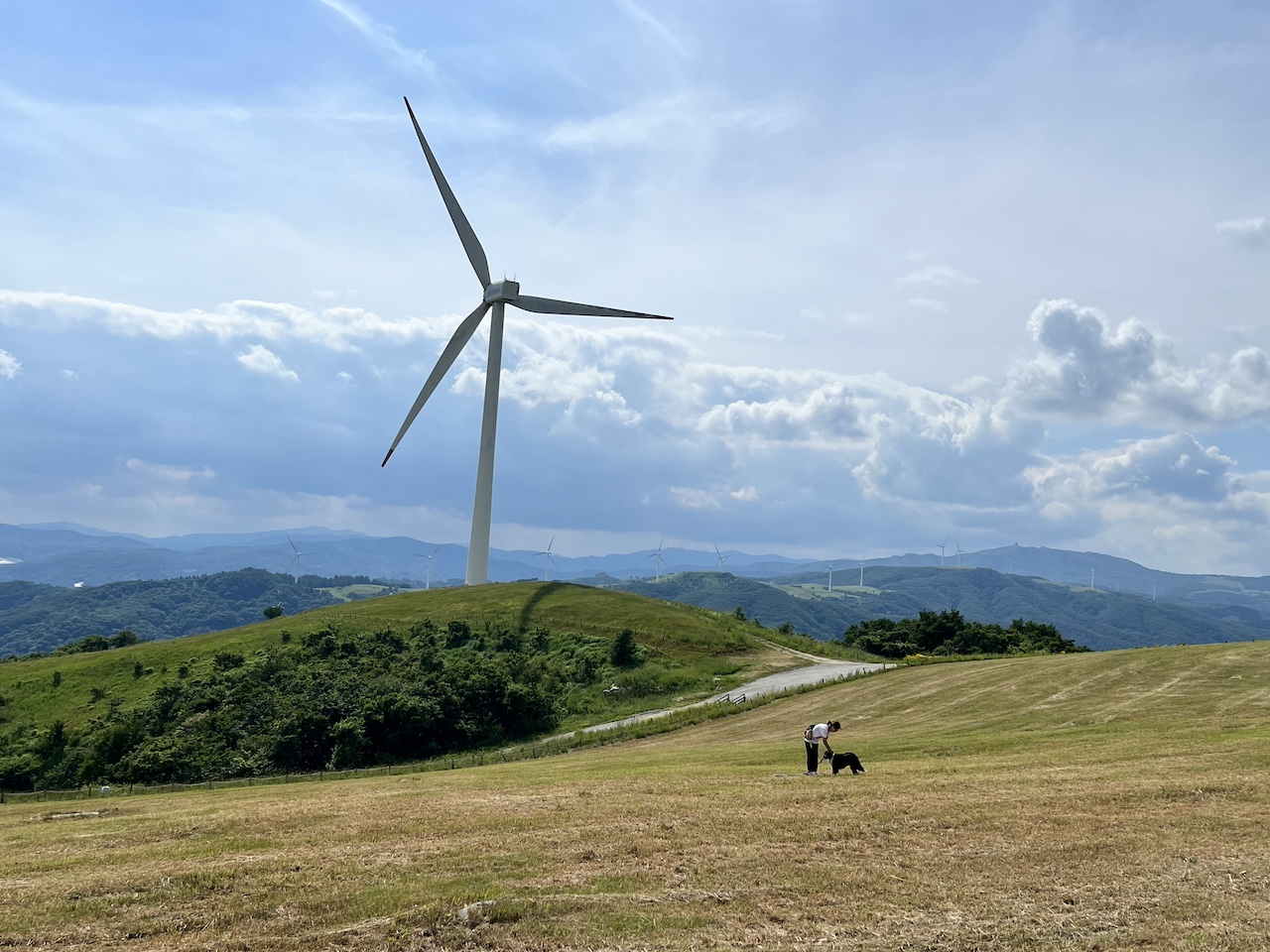 The view at the top of the Han Neul Sky Ranch trekking course in summer.