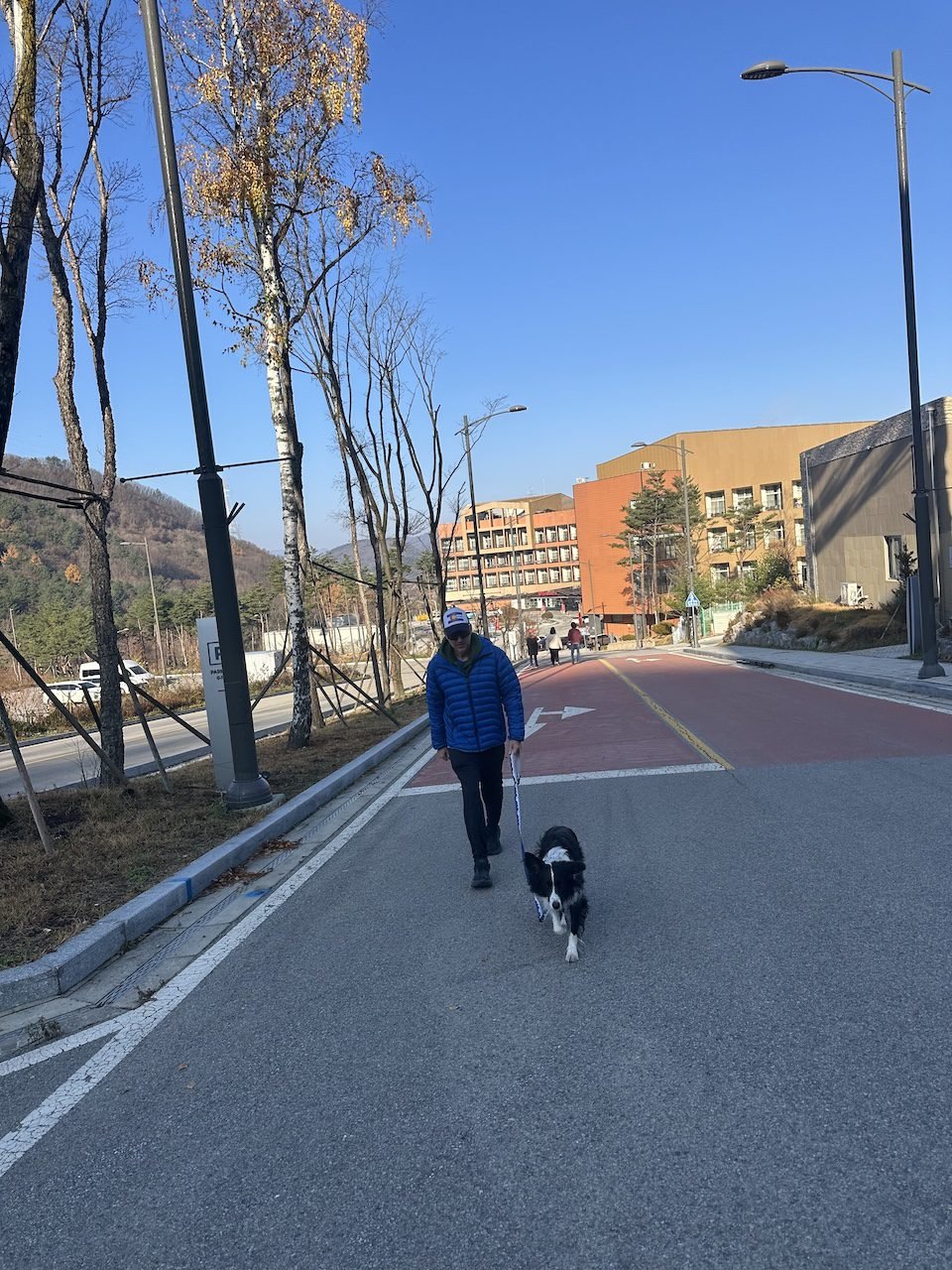 A man in a blue jacket walks his border collie along a quiet street near the Ramada Hotel in Pyeongchang, South Korea, on their way to morning coffee at the Pure Sheep Ranch café.