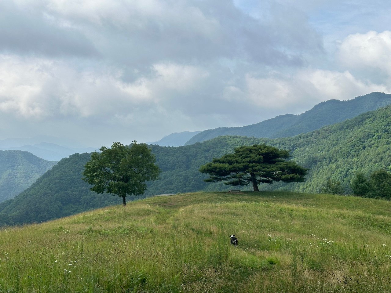 Amazing views from at the Sanneomi Ranch campsite in Gangwon-Do, South Korea