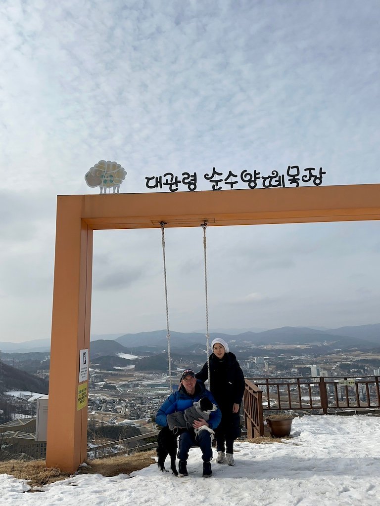 Sky Viewpoint at the top of the trekking course at Pure Sheep Ranch in Pyeongchang, Gangwon-Do, South Korea