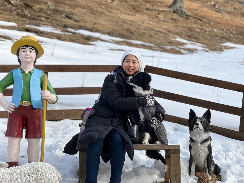 There are lots of photo spots on the trekking course at Pure Sheep Ranch, Pyeongchang, South Korea