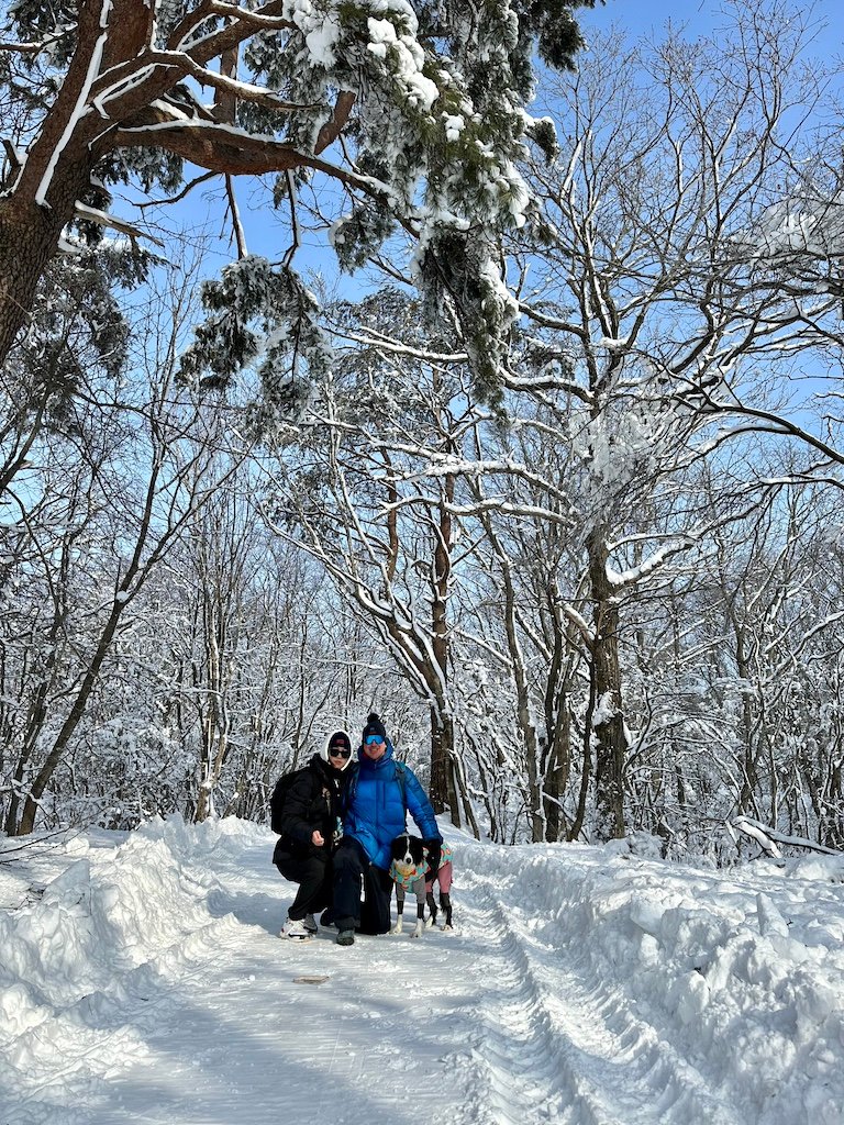 Lower section of the trekking trail at Han Neul Sky Ranch in winter.