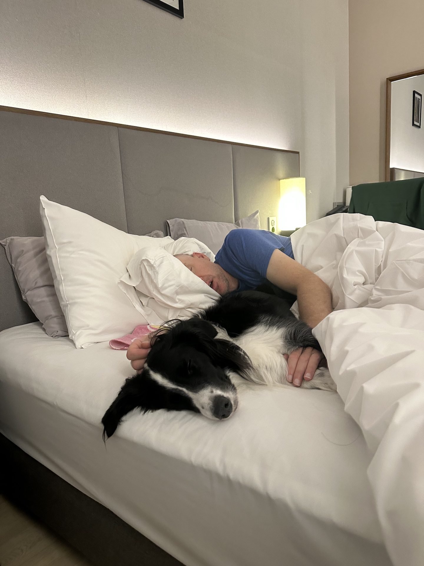 A tired skier and his dog sleep at the dog-friendly Ramada Hotel in Pyeongchang, South Korea.