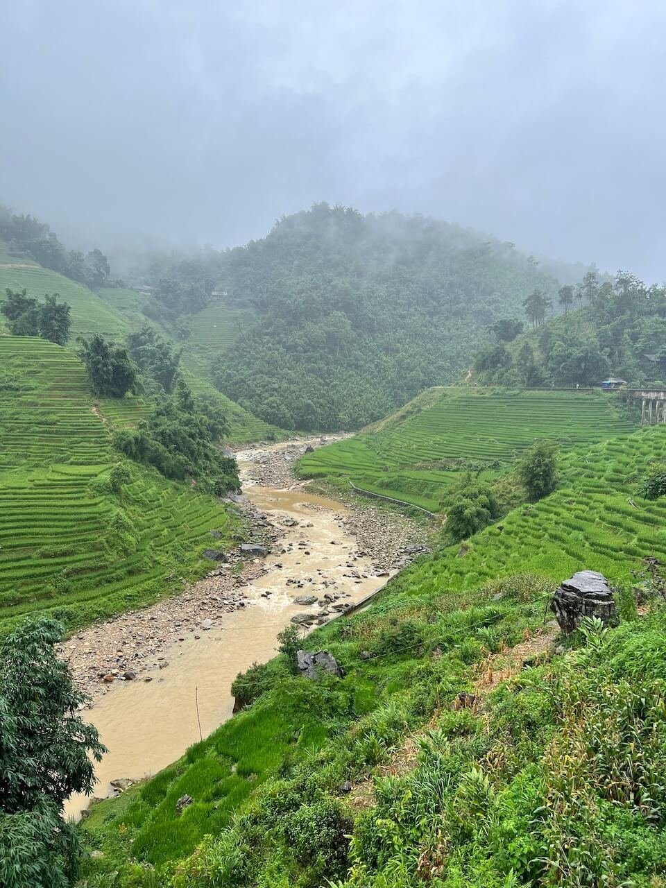 A misty view of Muong Hoa River winding through the terraced rice fields and lush green hills of Lao Chai Village in Sapa, Vietnam.