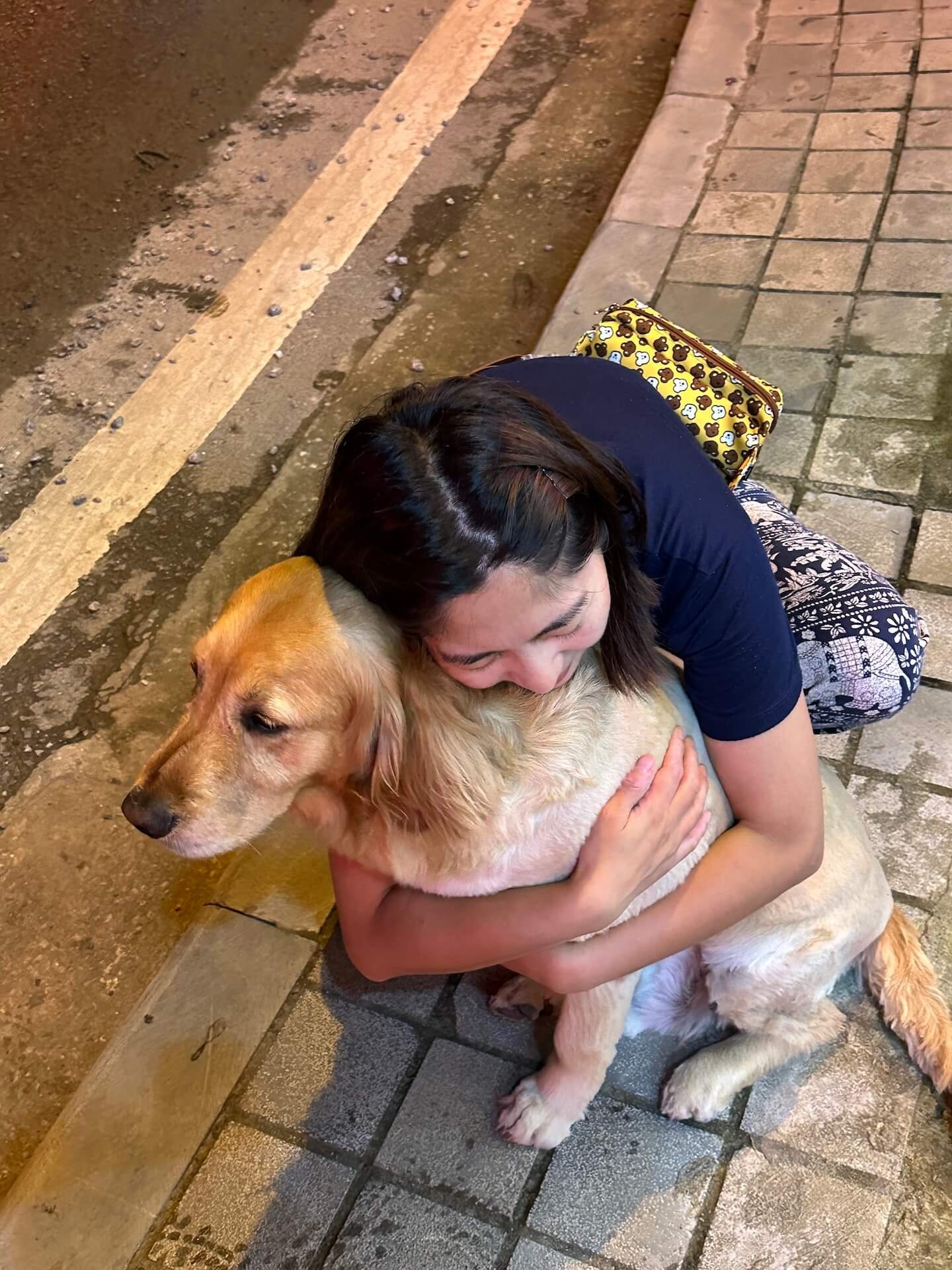 A woman crouching on the sidewalk in Sapa, Vietnam, hugging a golden retriever with a short haircut. The dog looks calm and content.