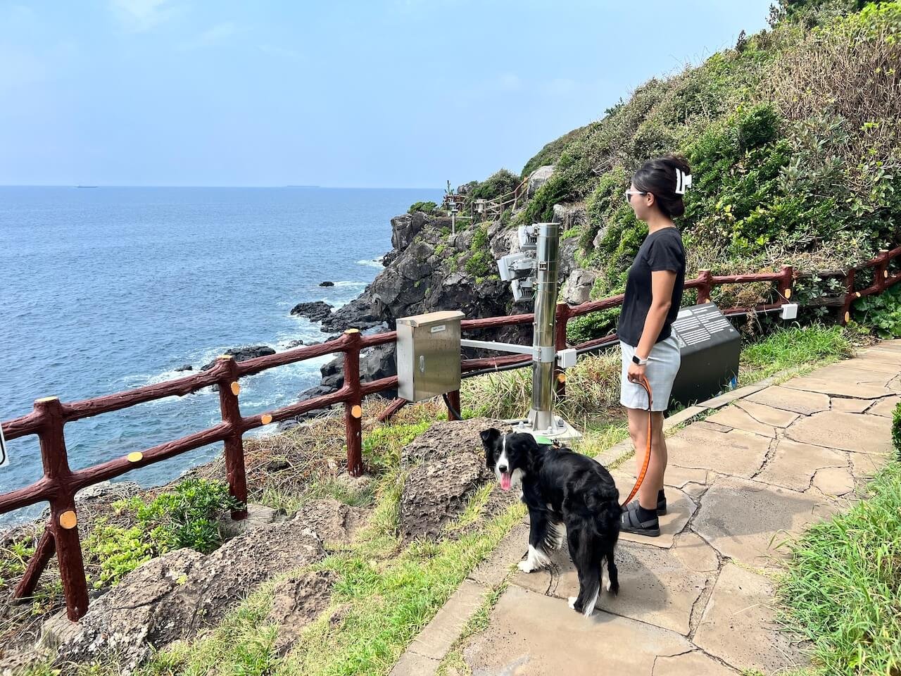 Keuneong Coastal Walk on Jeju Island with a cliffside path, ocean views, and a person walking a dog along the coastline