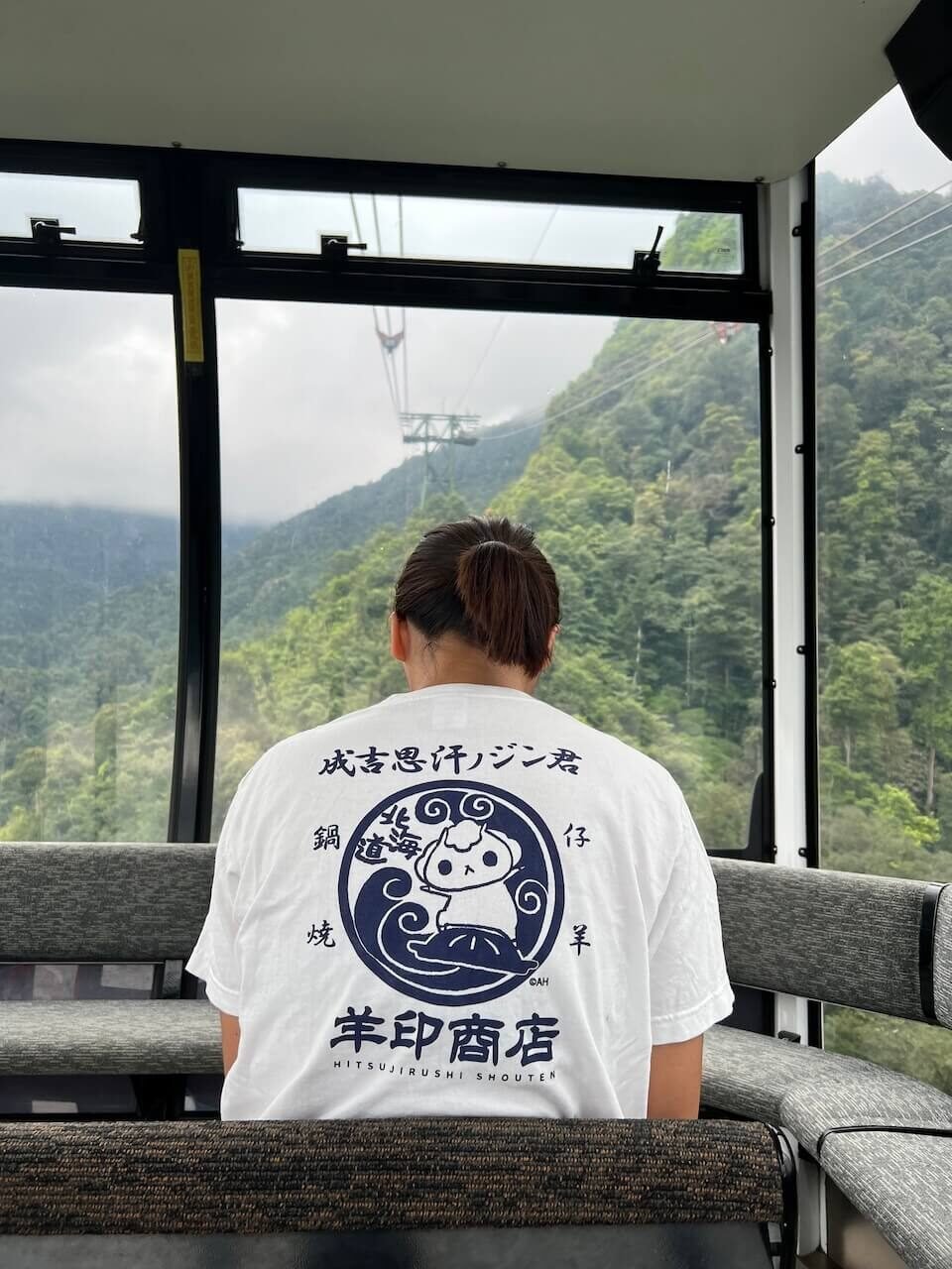 Fansipan Peak Cable Car Guide: Cost, Tickets & What to Expect (2025) 7 Passenger sitting inside the Fansipan cable car with scenic mountain views and support cables visible in the background