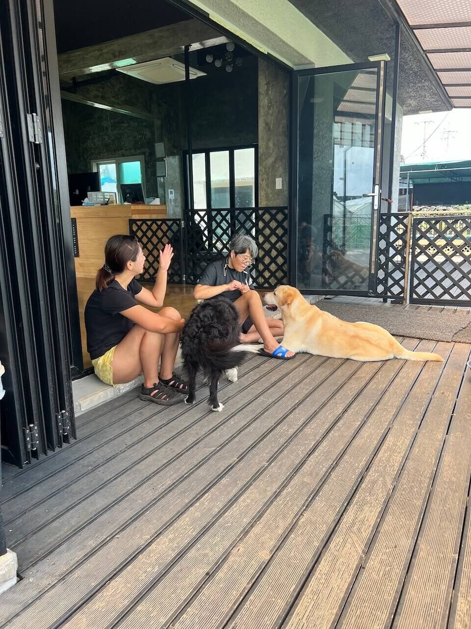 Why Climbing Hallasan in Summer Nearly Broke Me (And What I’d Do Differently) 20 Local dog café owner offering coffee while we waited for a rental car replacement on Jeju