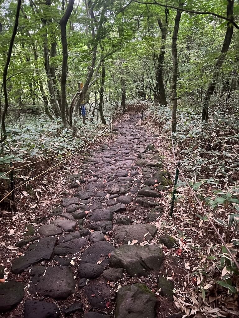 Why Climbing Hallasan in Summer Nearly Broke Me (And What I’d Do Differently) 8 Uneven volcanic rock path through the forest on the lower section of Hallasan’s Gwaneumsa Trail in Jeju Island