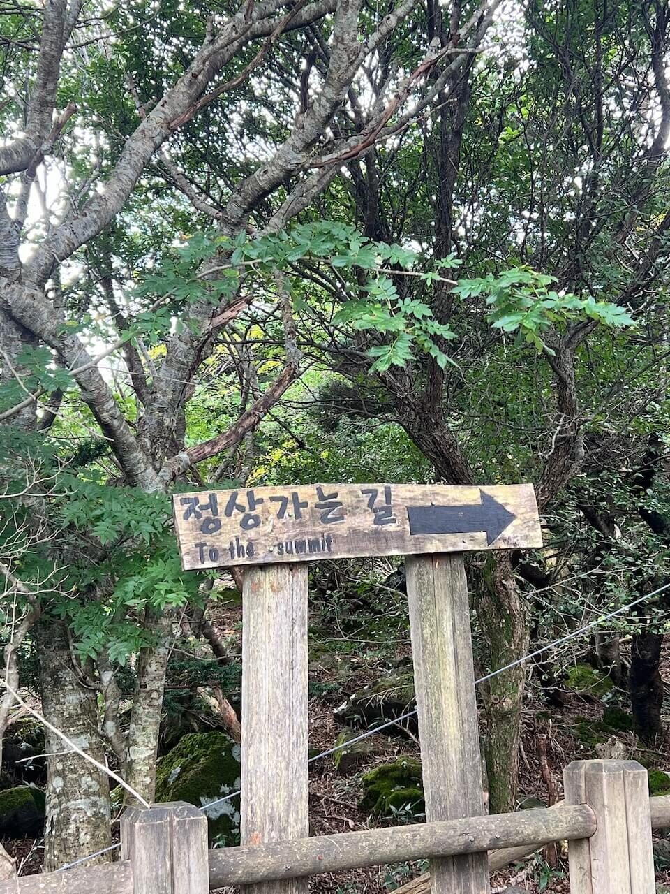 Why Climbing Hallasan in Summer Nearly Broke Me (And What I’d Do Differently) 10 Wooden trail sign reading “To the summit” along Hallasan’s hiking route in Jeju, South Korea