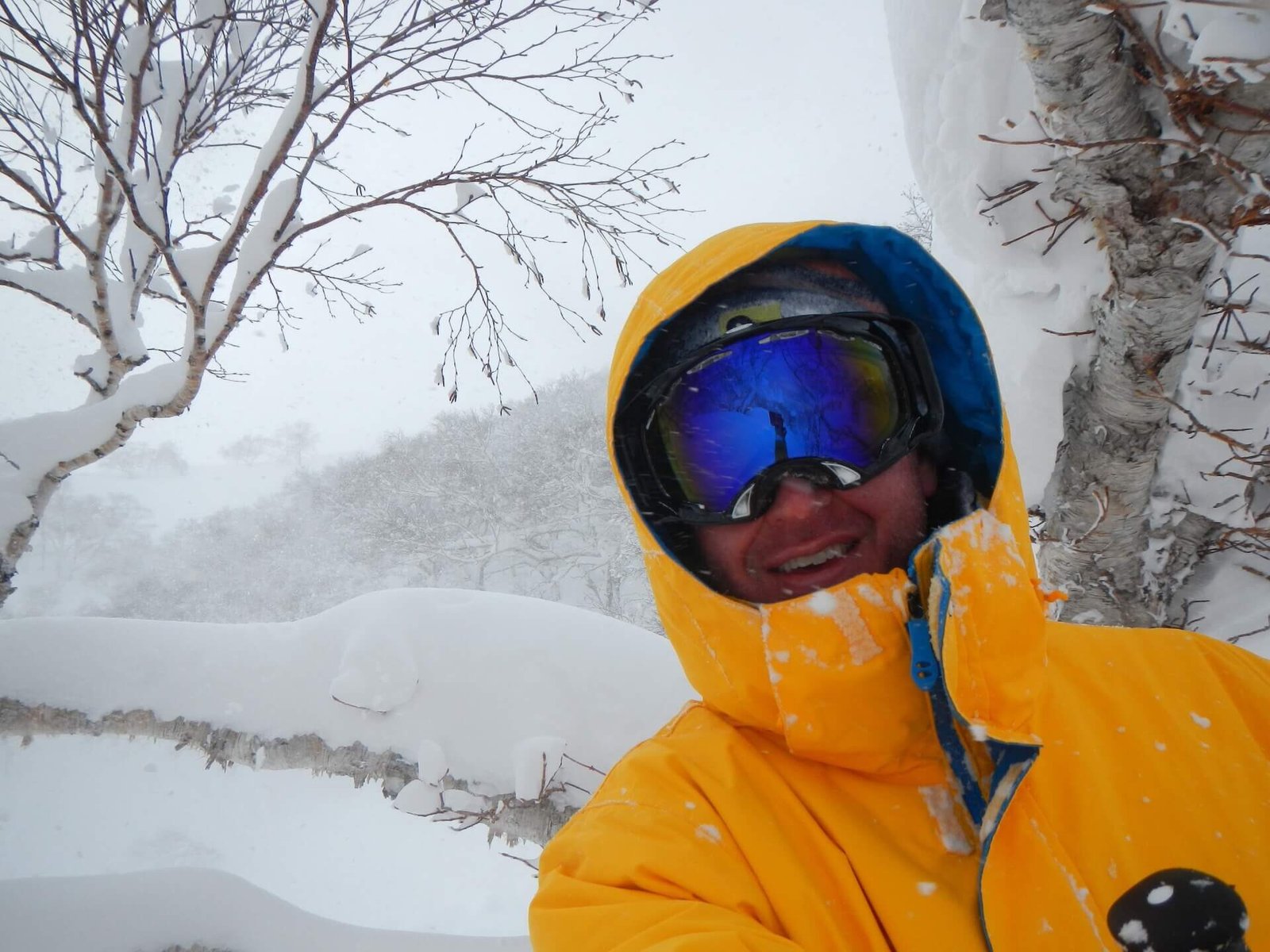 Skier in yellow jacket riding deep powder in Niseko’s trees during a 2014 storm